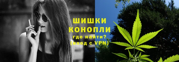 шишки Армянск