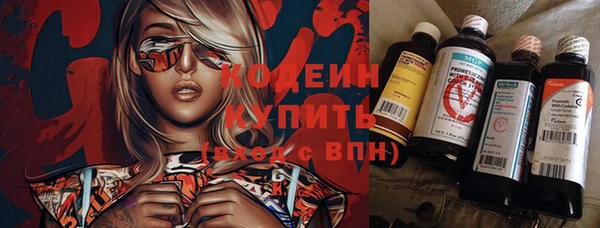 шишки Армянск